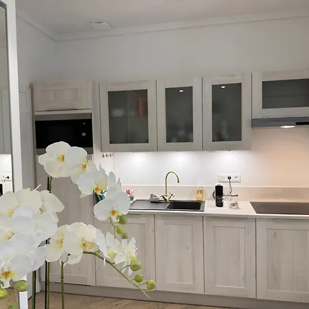 Apartamento Old Town-exceptional Apartment-in Absolute Calm Antibes