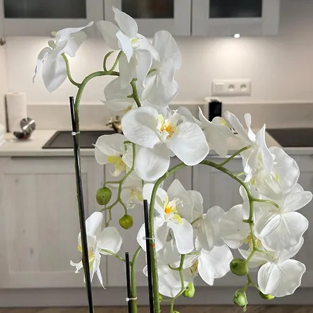 Old Town-exceptional Apartment-in Absolute Calm *