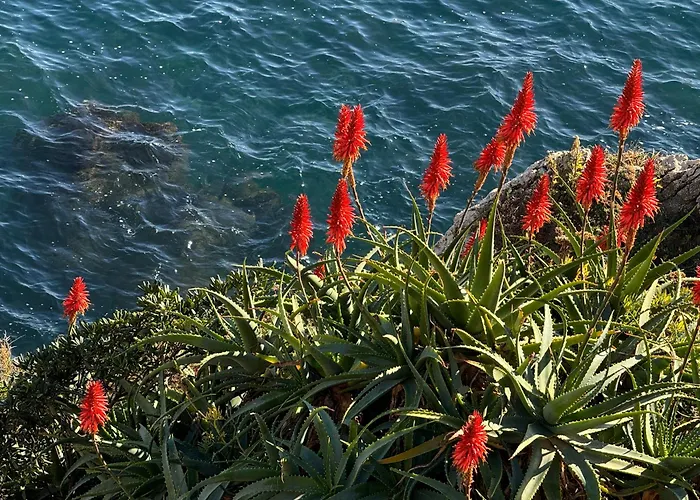 Old Town-exceptional Apartment-in Absolute Calm شقة