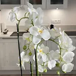 Old Town-exceptional Apartment-in Absolute Calm *