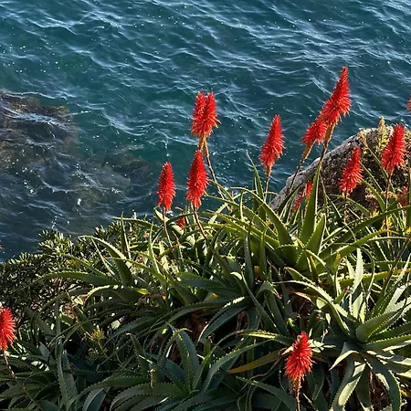 Old Town-exceptional Apartment-in Absolute Calm Appartamento