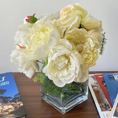 Old Town-exceptional Apartment-in Absolute Calm Antibes