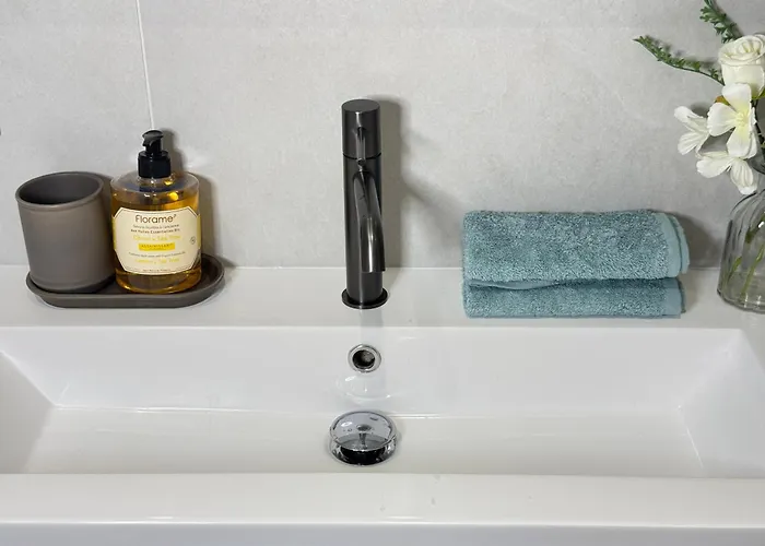 公寓 Old Town-exceptional Apartment-in Absolute Calm 昂蒂布