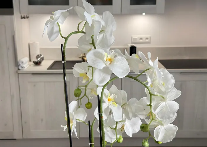 Old Town-exceptional Apartment-in Absolute Calm *