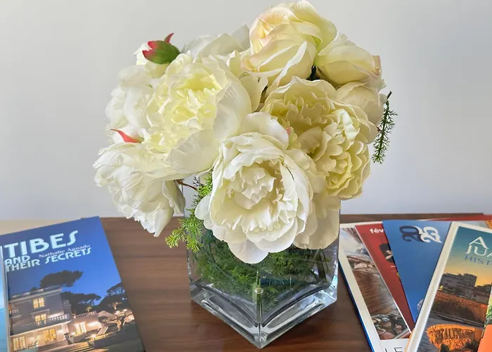 Old Town-exceptional Apartment-in Absolute Calm アンティーブ