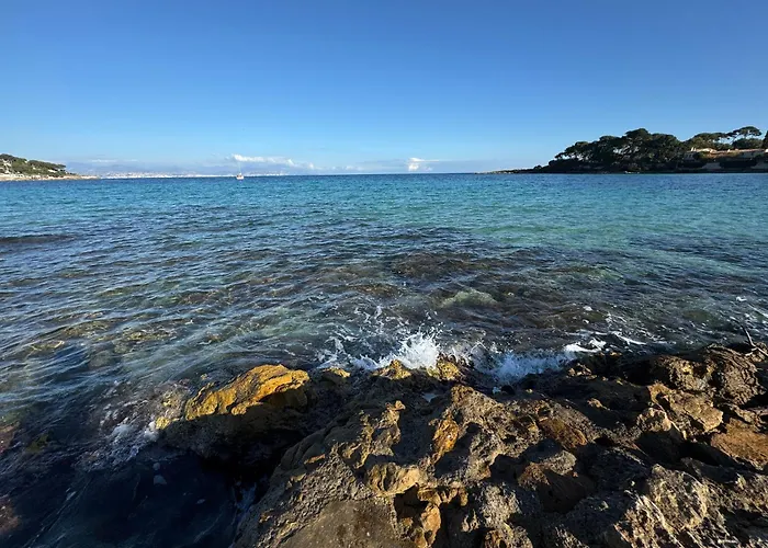 Old Town-exceptional Apartment-in Absolute Calm アンティーブ