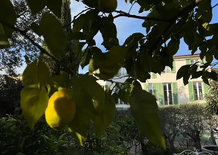 Old Town-exceptional Apartment-in Absolute Calm